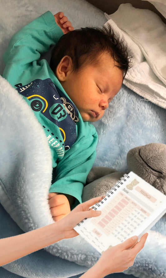 Digital Baby Daily Planner – PDF Download